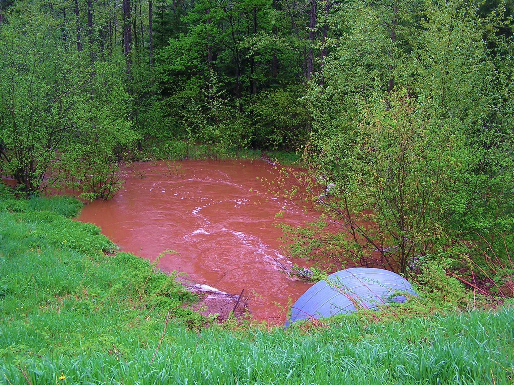 Creek full of water